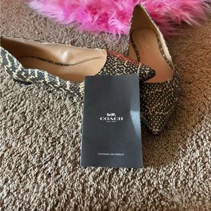 *NWOB* COACH Women's Vierra Snake Skimmer Flats